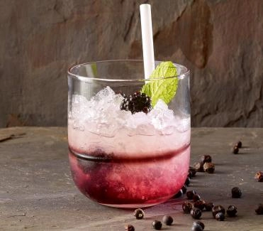 201609 gin-cocktail-mit-brombeeren